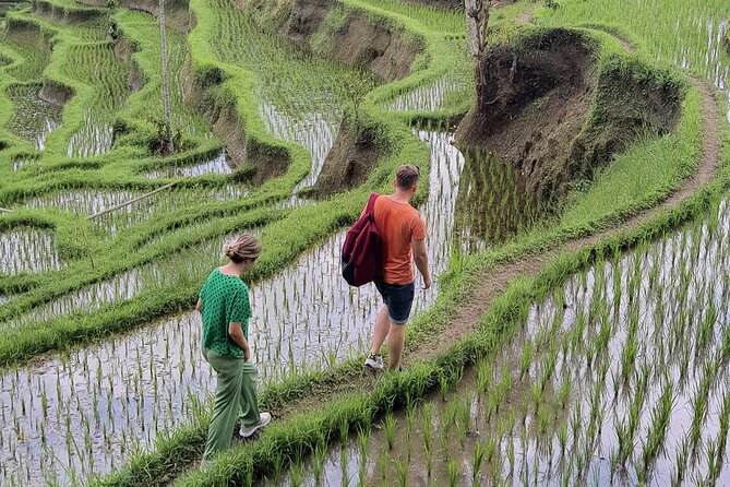 Bali Private Driver and Car for Customize Tours