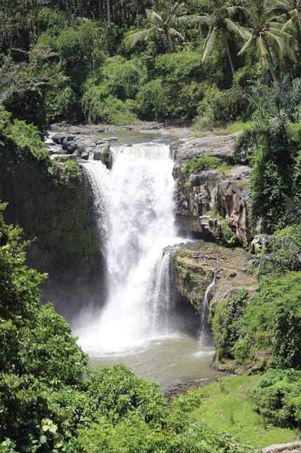 Bali: Private Ubud Waterfalls Tour With Lunch Entry Option 