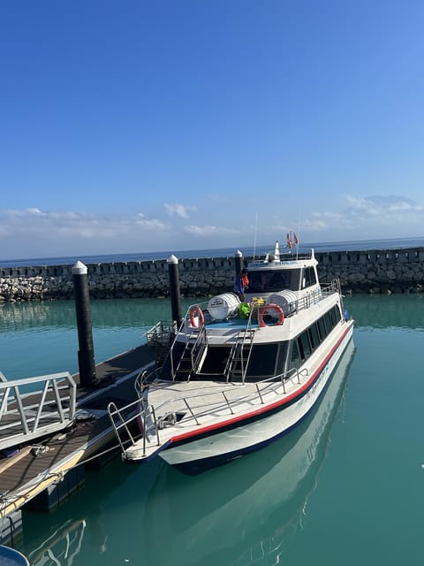 Bali (Sanur) To/Fromnusa Penida: 1 Way Fast Boat Ticket - Experiential Highlights