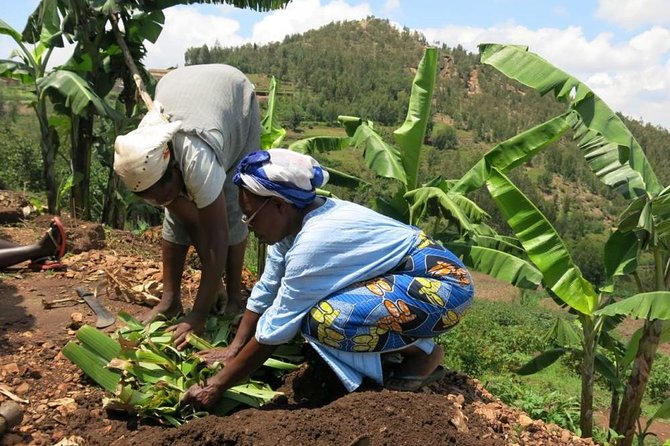 Banana Juice Making at a Local Community