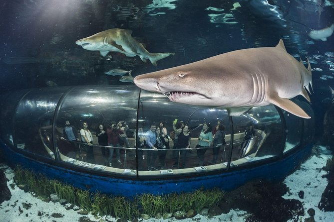 Barcelona City Tour Hop-On Hop-Off and Aquarium