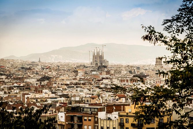 Barcelona Private 4 Hours Shore Excursion With Private Vehicle and Guide - Tour Overview