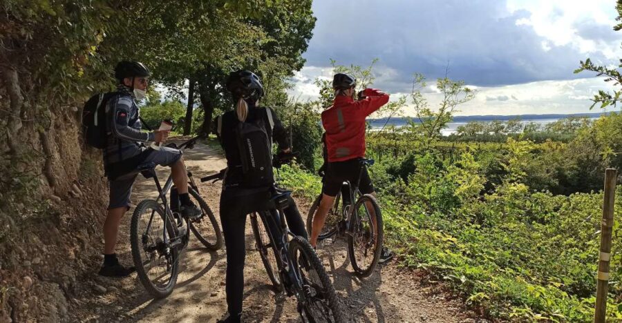 Best Tours In Bardolino