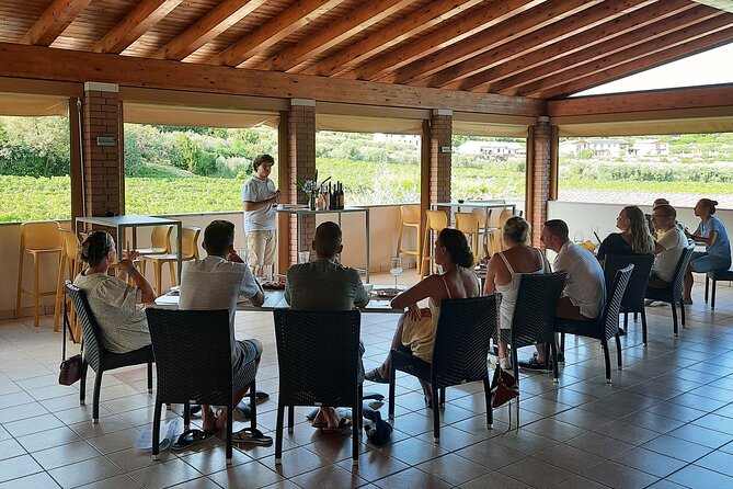 Bardolino: Vineyard Tour, Wine, Oil and Food Tasting