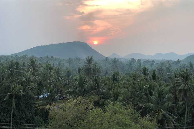 Battambang Private Afternoon Tour Bamboo Train Bat Cave & Village
