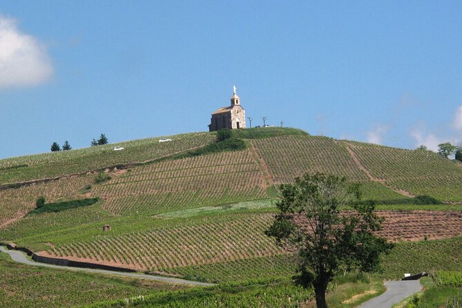 Beaujolais Region Wine Tasting Private Day Tour From Lyon - Tour Overview and Inclusions