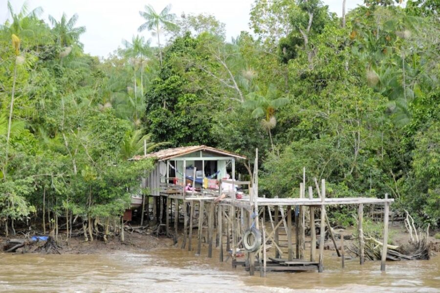 2 Best Cruises And Boat Tours In Belem Brazil