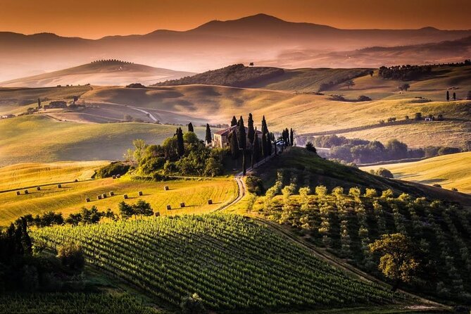 Bella Toscana Private Tour: 2 Chianti Wineries and San Gimignano From Livorno