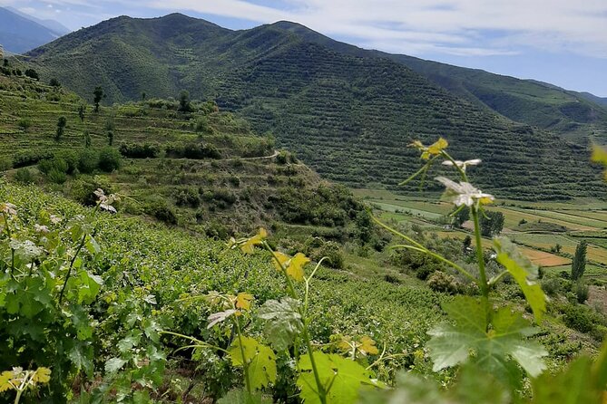 Berat 4x4 Off-Road and Vineyard Wine Tasting - Inclusions and Exclusions