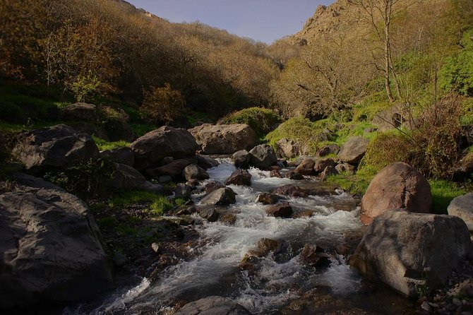 Berber Life Experience in the Atlas Mountains From Marrakech