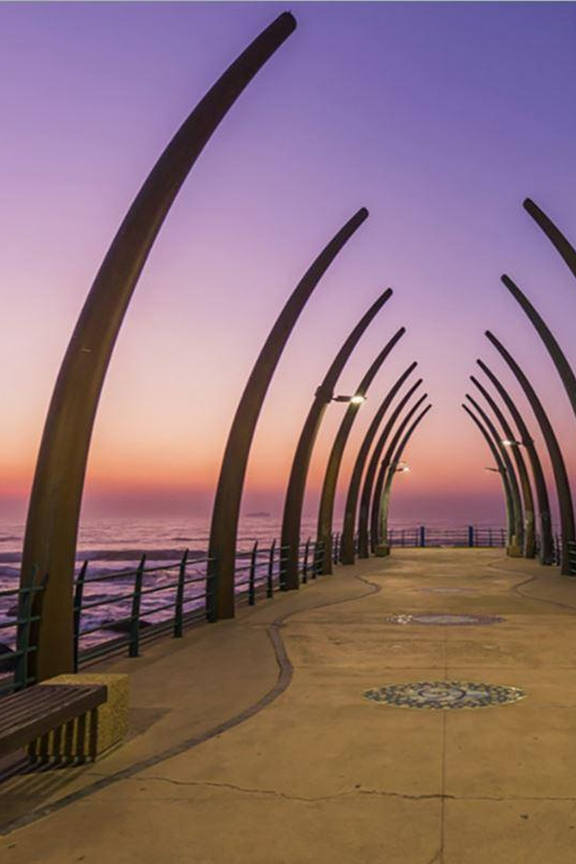 Best of SA 14 Day Private Safari Cape Town To Johannesburg