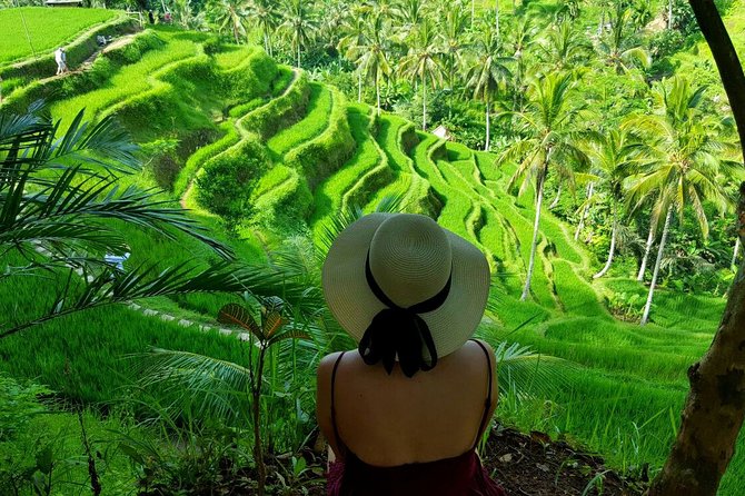 Best of Ubud Tour : Private Ubud Traditional Tours