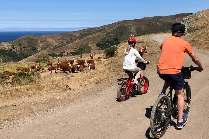 Big Surs Old Coast Road Ebike Tour - Inclusions and Pickup Details