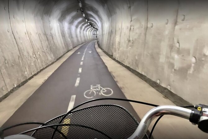 Bike Tour in San Sebastián With FREE Pintxo and Drink! - Overview of the Bike Tour