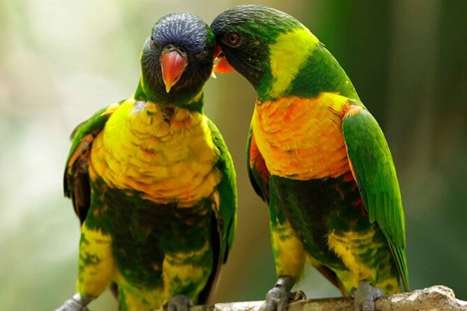 Bird Paradise Singapore