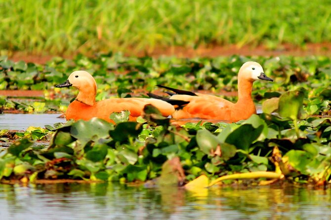 2 Best Tours In Dibrugarh