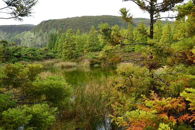 Black Mysteries Hiking Trail – Terceira Azores