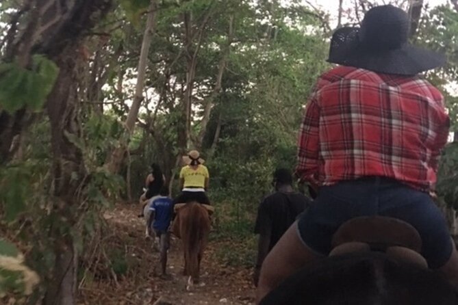 Blue Hole Irie Falls, Ohoco Rios City Tour & Horse Back Riding - Tour Overview
