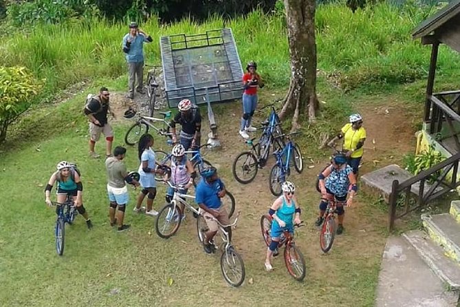 Blue Mountain Bicycle Tour From Runaway Bay