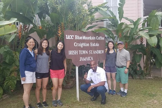 Blue Mountain Coffee Tour From Ocho Rios