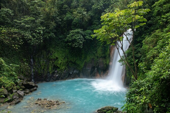 Blue River Waterfall and Rainforest Full Day Tour - Included Amenities