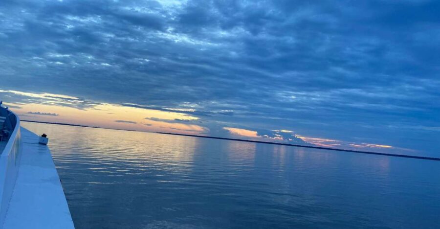 2 Best Cruises And Boat Tours In Alter Do Chao