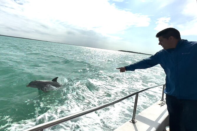 Boat & Yacht Tour Amazing Sandbar Adventure, Water Toys & Snorkel
