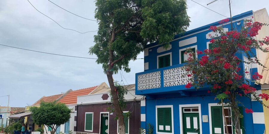 6 Best Tours In Sal Rei