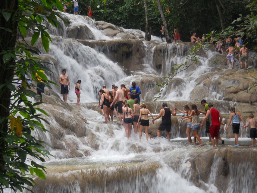 Bob Marley Birthplace and Dunn's River Falls Private Tour