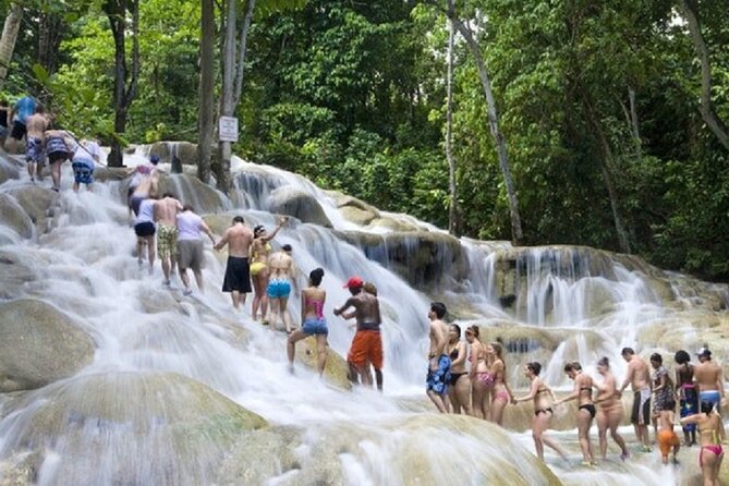 Bob Marley Nine Mile, Dunns River Falls & Floyds Pelican Bar Multi Day Tours - Tour Highlights