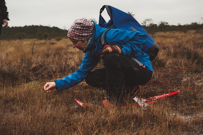 Bog-shoe Hiking Tour