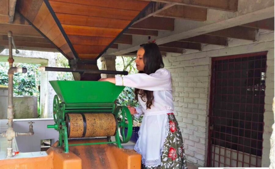 Bogotá: Colombian Coffee Tour With Farm