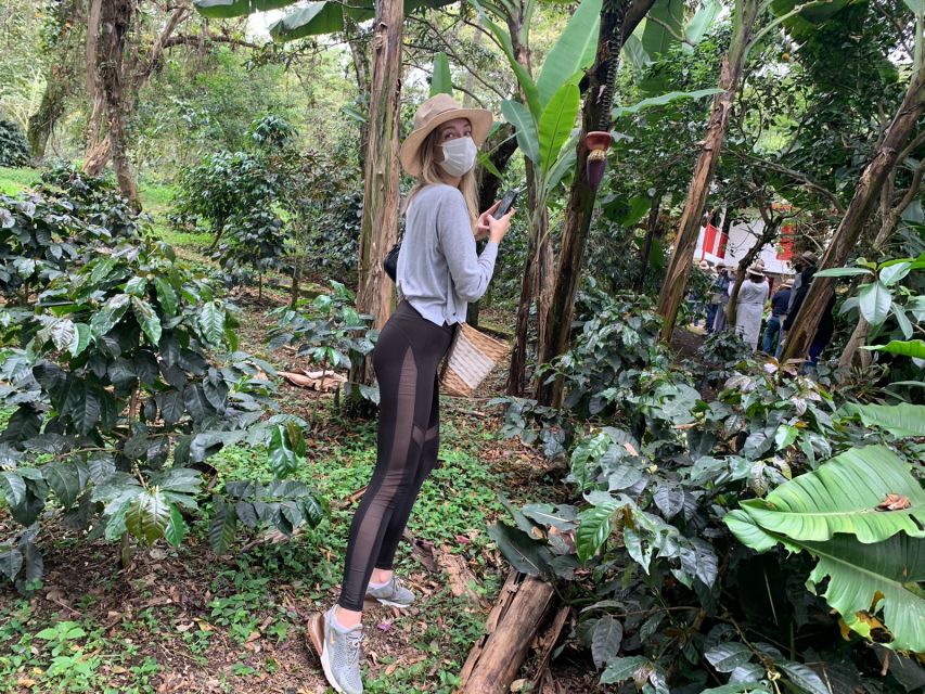 Bogotá: Guided 5-Hour Coffee Farm Tour - Tour Overview and Details