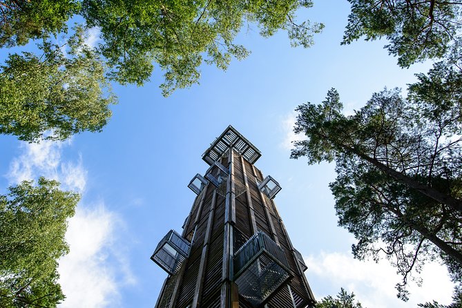 Bogs and Resorts in Jūrmala
