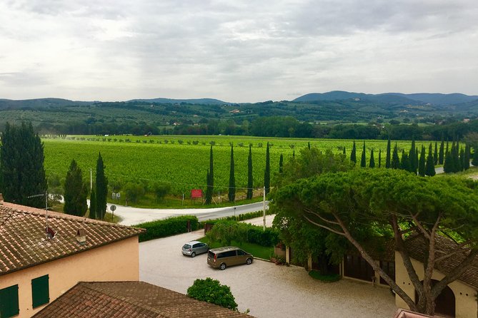 Bolgheri Wine Tour From Livorno