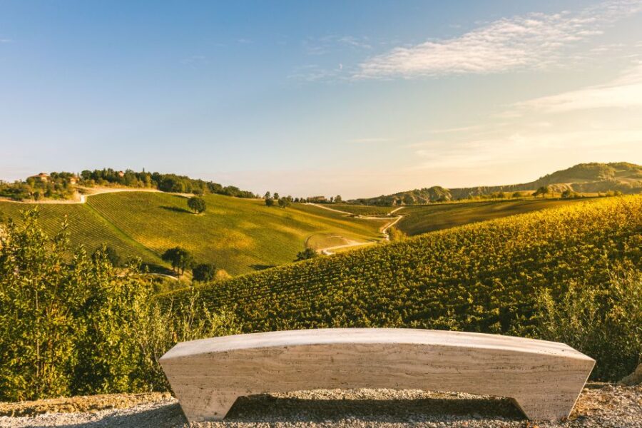 Bologna: Olive Grove and Vineyard Tour With Product Tastings