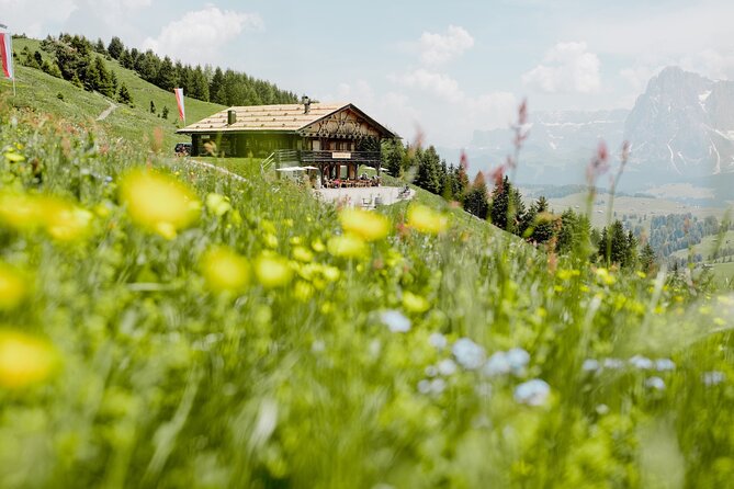 Bolzano Dolomites: One Day Private E-Bike Tour