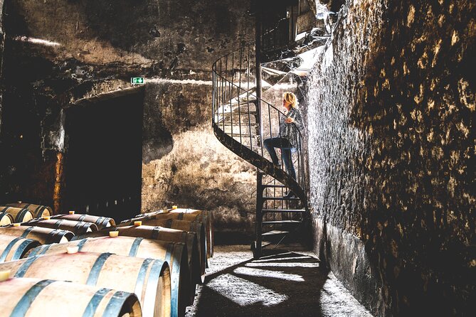 Bordeaux: Wine Tour and Tasting