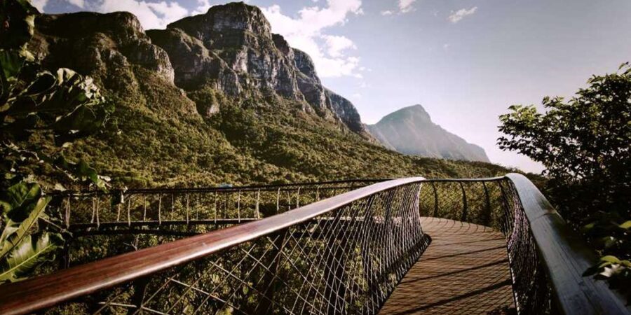 Botanical Garden and Groot Constantia Wineries Private Tour