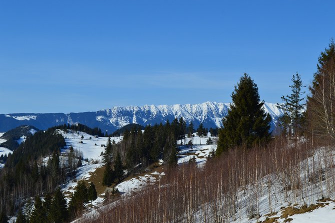 2 Best Guided Tours In Romania