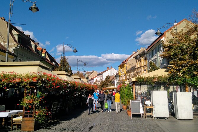 Brasov: Sighisoara & Bear Sanctuary Tour Entrance Fee Guaranteed