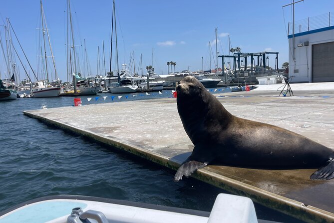 Bring-Your-Own-Food and Drinks Marina Del Rey Boat Tour