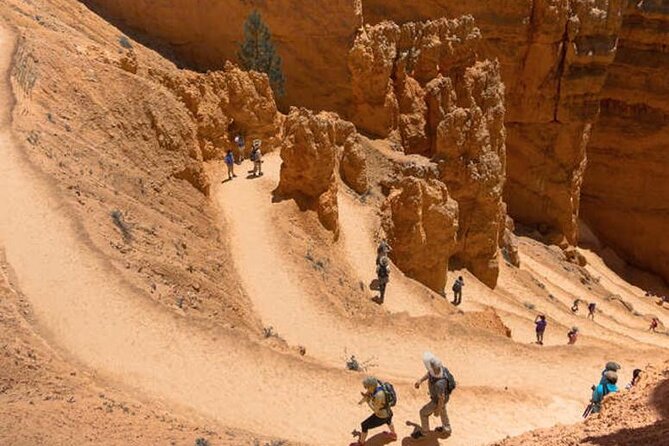 Bryce Canyon and Zion National Park Tour in Las Vegas
