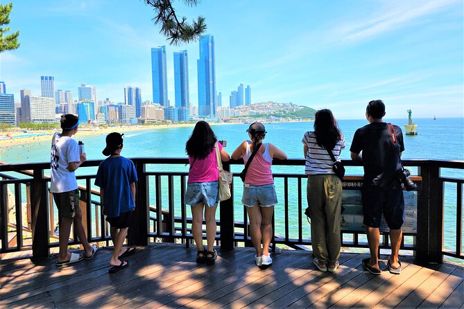 Busan Private Tour With Korean Speaking Driver - Tour Overview