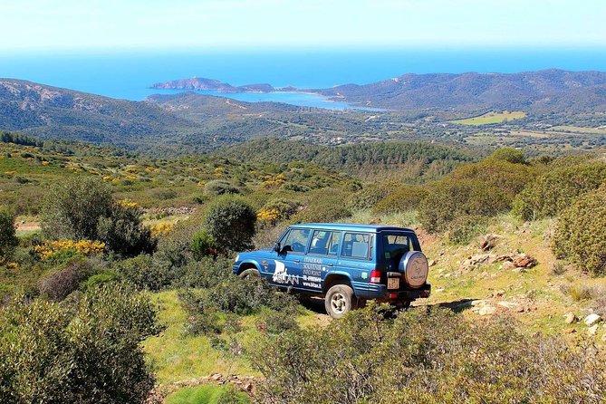 Cagliari: Is Cannoneris Nature Reserve Jeep and Walking Private Tour From Chia - Tour Overview