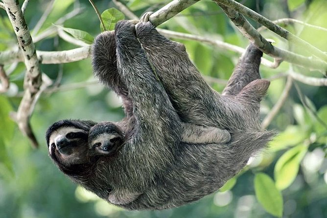 Cahuita National Park