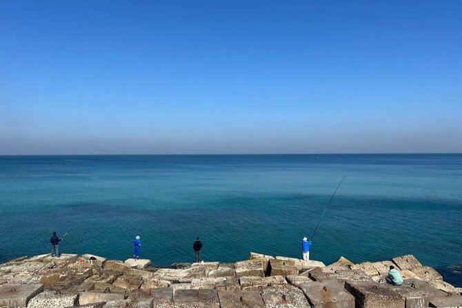 Cairo to Alexandria Private Day Trip - Inclusions