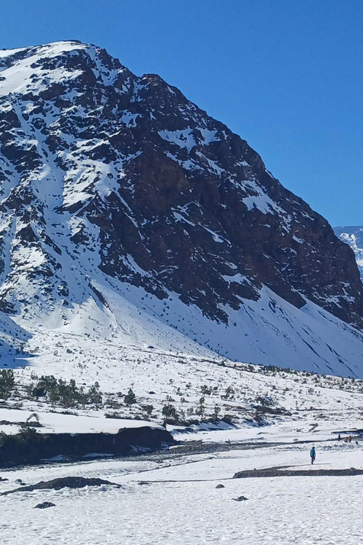 Cajon Del Maipo Andes Mountain and Wines - Tour Overview and Pricing