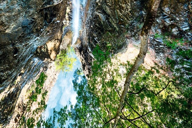 Caledonia Waterfalls Tour - Tour Overview