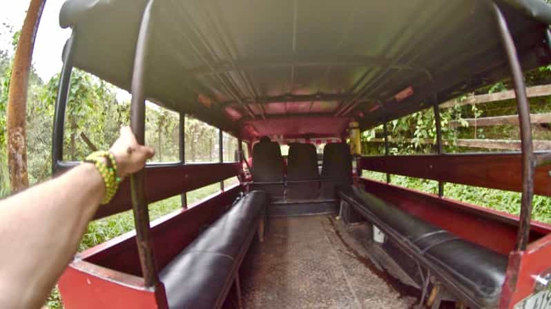 Cali: Jepp, Wala. Walk Between Oak Forest and Organic Crops - Overview of the Activity